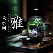 丘辰青苔蘚微景觀生態(tài)瓶DIY辦公室內(nèi)桌面植物造景流水養(yǎng)魚瓶綠植禮物 清幽