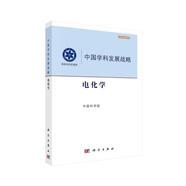 中國(guó)學(xué)科發(fā)展戰(zhàn)略·電化學(xué)