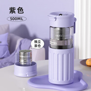 恩爾美（nRMEi）茶杯茶水分離杯磁彈泡茶玻璃水杯男士雙層防燙耐高溫高硼硅玻璃杯 【防燙外殼+茶倉+便攜提手】紫色 500ml