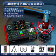 十盞燈 G10手機聲卡唱歌專(zhuān)用主播K歌電腦直播套裝抖音快手喊麥帶貨通用專(zhuān)業(yè)錄音變音器音頻設備  【48V鍍金咪芯電容麥】P40+G10旗艦版