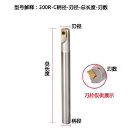紀(jì)儷田定制1135加工中心銑刀桿300R直角數(shù)控20震CNC17 21R0.8銑床開粗刀 300RC10-10-120-1T
