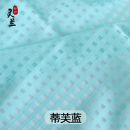 靈蘭 透明格子歐根紗韓版 雪紡女刺繡鏤空布料 服裝面料 裙子夏季布料 蒂芙藍