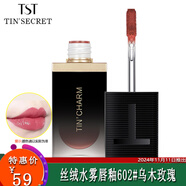 TST 庭秘密口紅潤(rùn)唇釉系列/ 庭魅絲絨水霧唇釉602