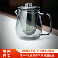 全度玻璃茶壺家用沖茶器加厚耐熱花茶壺過濾泡茶壺茶水分離杯企鵝壺 灰色企鵝壺 600ml