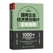 國有企業(yè)經(jīng)濟(jì)責(zé)任審計(jì)實(shí)務(wù)指南（人郵普華出品）