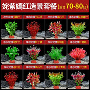 瘋狂水草（FKSC）真水草魚(yú)缸造景套餐凈化水質(zhì)懶人魚(yú)缸水草植物直接入缸蜈蚣草 【火山石】姹紫嫣紅組合12顆