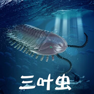 林暢模玩兒童海洋動(dòng)物玩具150種仿真海底生物魚(yú)類(lèi)認知鯊魚(yú)鯨魚(yú)螃蟹大龍蝦 三葉蟲(chóng)