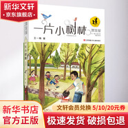 一片小樹林 學生課外閱讀 推薦閱讀 兒童文學
