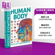DK目擊者口袋系列 人體 英文原版 Pocket Eyewitness:Human Body DK 科學(xué)百科 科普 醫(yī)學(xué)