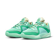 耐克（NIKE） ZOOM KD16 EP 杜蘭特16 氣墊實(shí)戰籃球鞋 男鞋 DV2916-301 40