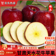 騎猴趕馬甘肅天水花牛粉面蘋(píng)果老人嬰兒當季新鮮現摘現發(fā)蘋(píng)果水果粉面蘋(píng)果 10斤 老樹(shù)甄選果【單果70mm+】?jì)糁?.5斤 【自然熟好果子】
