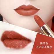 LANYI   奧· 迪口紅不脫色不掉色不沾杯不脫色豆沙色同款雨衣啞光 509#南瓜色