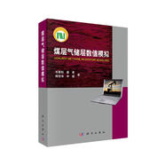 煤層氣儲層數值模擬