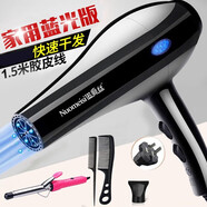 諾美絲（nuomeisi） 吹風(fēng)機(jī)家用理發(fā)店大功率電吹風(fēng)大風(fēng)力宿舍學(xué)生小吹風(fēng)筒 藍(lán)光節(jié)能版2400【卷發(fā)器套餐】