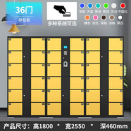 依惠萊 超市電子存包柜商場智能儲物柜紅外條碼指紋刷卡人臉識別寄存柜手機(jī)存放柜微信掃碼收費柜 36門存包柜 人臉識別型