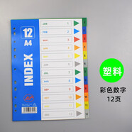 隨心發(fā)A4分類(lèi)紙分隔紙活頁(yè)分類(lèi)索引紙隔頁(yè)索引頁(yè)分割隔頁(yè)紙分頁(yè)文件標簽財務(wù)人事資料a4塑料索引卡分頁(yè)紙 塑料彩色數字12頁(yè)