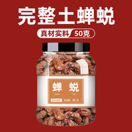 伊梵麥蟬蛻中藥知了殼皮蟬衣蟬殼禪蛻干中藥材批發(fā)市場(chǎng)非蟬蛻粉 蟬蛻20克