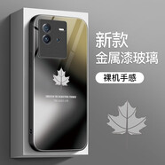 彩繪師 適用vivoiQOONeo8/10/9SPro+手機殼創(chuàng)意玻璃neo7se/6se/5s硅膠防摔硬殼保護套網(wǎng)紅簡約楓葉男女款 iQOONeo6/6se【深邃黑】立體感玻璃
