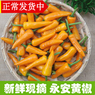 辰實(shí)【現摘】福建永安小黃椒 新鮮黃椒 農家魔鬼泡椒小辣椒黃辣椒 3斤