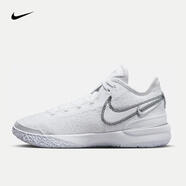 耐克（NIKE）詹姆斯男子籃球鞋 LEBRON NXXT GEN EP DR8788-101 41