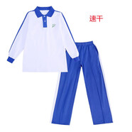 布恩普深圳校服小學生速干7歲-12歲統(tǒng)一服裝學生短袖長褲運動服 速干秋季套裝女 150