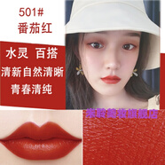 LANYI   奧· 迪口紅不脫色不掉色不沾杯不脫色豆沙色同款雨衣啞光 501#番茄紅棕