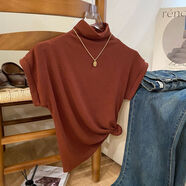 LPDV半高領(lǐng)女款t恤2024新款氣質(zhì)貝殼領(lǐng)短袖T恤女早秋修身顯瘦西裝內搭 銹紅色 均碼