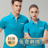 法拉印工衣定制工作服定制POLO印logo刺繡廠服定制t恤廣告文化衫短袖 湖藍色 L