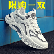 DIBOFEI男鞋夏季2025新款鞋子男潮流透氣網(wǎng)鞋運(yùn)動(dòng)休閑跑步老爹潮鞋百搭鞋 白色 42 (260mm)
