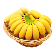 探味君 廣西香蕉 小米蕉 新鮮水果帶箱 3斤 凈重2.8斤