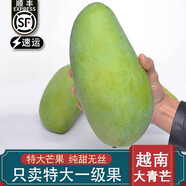 沐小七果蔬進口越南大青芒果 新鮮大芒果熱帶孕婦水果 禮盒裝 【禮盒裝】凈重8斤 嚴選特大一級果