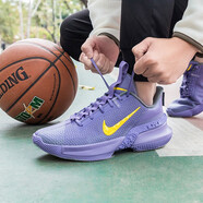 耐克（NIKE）籃球鞋男鞋秋冬季新款運動(dòng)訓練實(shí)戰比賽防滑緩震士兵戰士運動(dòng)鞋 CQ9329-500/AX-紫/詹姆斯使節 41