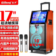 奇聲（QISHENG）LX-L58廣場舞視頻音響 便攜式K歌三分頻拉桿音箱 L58觸摸屏Wi