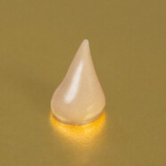 愛境官方Antipodes奇異果黃金精華淡化清爽好吸收 黃金精華眼霜30ml