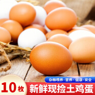 筱诺 新鲜现捡初生蛋土鸡蛋 笨鸡蛋散养柴鸡蛋 10枚鸡蛋