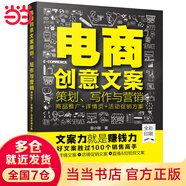 電商創(chuàng  )意文案策劃、寫(xiě)作與營(yíng)銷(xiāo)：商品推廣+詳情頁(yè)+活動(dòng)促銷(xiāo)方案