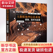 大數據地理信息系統 原理 技術(shù)與應用