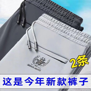 璽物褲子男夏季休閑褲寬松百搭彈力商務(wù)正裝長褲青年直筒運(yùn)動闊腿男褲 淺灰+深灰 2XL-建議140-150斤左右