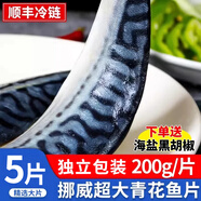 朵芙挪威 青花魚(yú) 6片1kg深海魚(yú)類(lèi)特大青花魚(yú)鯖魚(yú)鮐鲅魚(yú)生鮮海鮮水產(chǎn) 【特大片】獨立包裝200g*5片