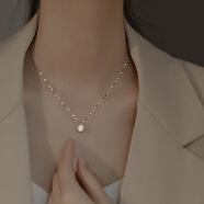 向晚 輕奢項(xiàng)鏈女小眾2025年新款女設(shè)計(jì)感精致鎖骨鏈夏生日禮物送女友 單鉆閃耀項(xiàng)鏈（銀色）