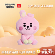 AURORABT防彈少年團 小兔子COOKY田柾國 毛絨玩具 生日禮物送女友