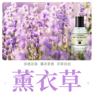 柏世曼（poacherman）薰衣草香水LAVENDER薰衣草味女士持久淡香清新花香調香水 67薰衣草30ml
