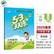 53天天練 小學(xué)數(shù)學(xué) 六年級(jí)下冊(cè) QD 青島版六三制 2025春季 含測(cè)評(píng)卷 參考答案 開(kāi)學(xué)季