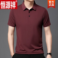 恒源祥（HYX）2024夏季新款冰絲短袖T恤男寬松青年商務(wù)POLO.衫上衣翻領(lǐng) 酒紅 165