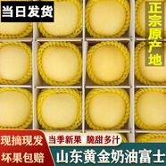 譯優(yōu)農(nóng)山東煙臺奶油富士蘋果水果新鮮牛奶黃金蘋果時令當季 5斤大果【精選裝】