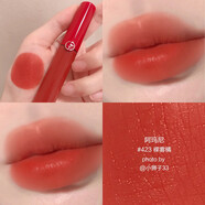 阿瑪尼（ARMANI）阿瑪尼紅管唇釉423裸霧橘321 214 405 206 415 421 107 311 2配件 紅管唇釉423 裸霧橘
