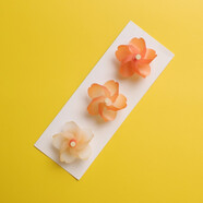 LIVE PAI 冰箱貼小清新ins日系風(fēng)櫻花小風(fēng)車磁貼家居冰箱裝飾磁力貼留言帖 小風(fēng)車一組【C/橙色系】 小