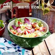 琺寶（staub）陶瓷碗大號(hào)沙拉碗家用甜品碗泡面湯碗面碗烘焙雙耳飯碗 25cm 蒔蘿綠
