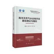 海洋天然氣水合物開采基礎(chǔ)理論與模擬
