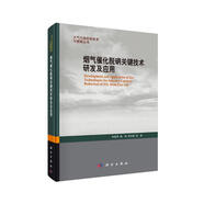 大氣污染控制技術(shù)與策略叢書：煙氣催化脫硝關(guān)鍵技術(shù)研發(fā)及應(yīng)用